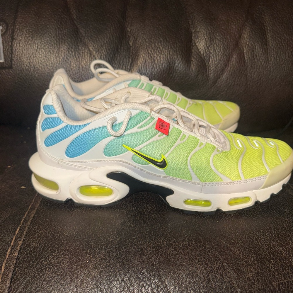 Nike Air Max Plus worldwide  Sneakers